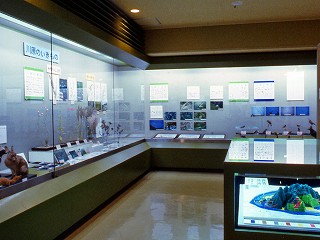 展示のようす