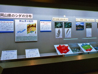 展示のようす