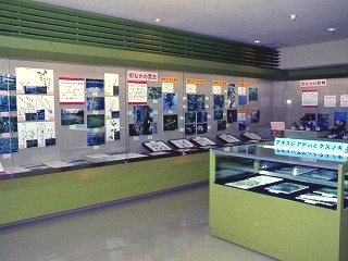 展示のようす