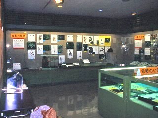 展示のようす