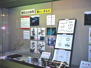 展示のようす