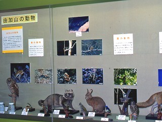 展示のようす