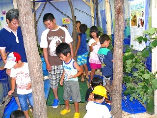 第２会場「昆虫の森」のようす