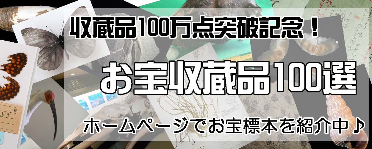 お宝収蔵品１００選