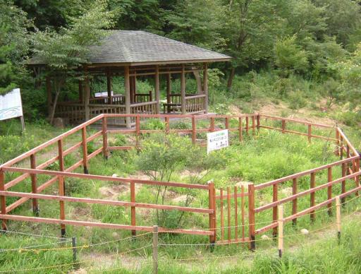 写真：野草園