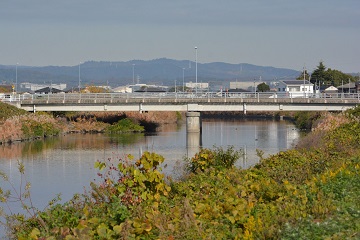 桜橋の写真