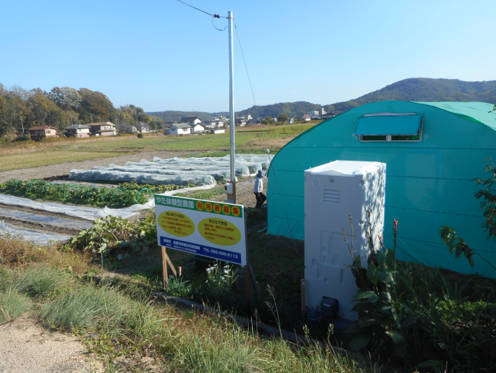 体験型農園　ハウス・看板