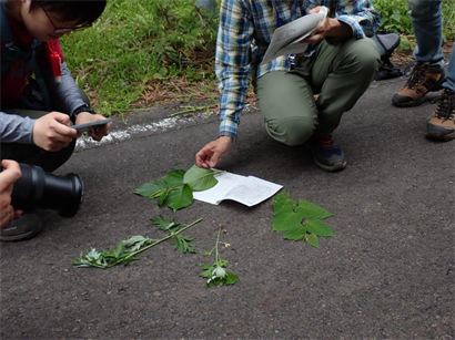 中国山地の植物観察～三平山～　観察会のようす１