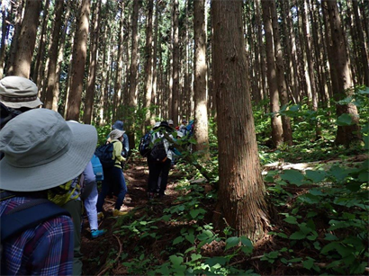 中国山地の植物観察～三平山～　観察会のようす２