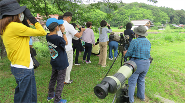 観察会のようす