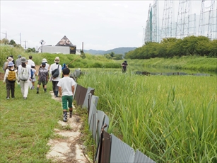 観察会のようす