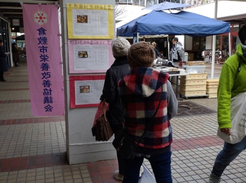 写真：三白市展示風景１