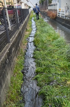 茶屋町地区の沼上げ作業その１