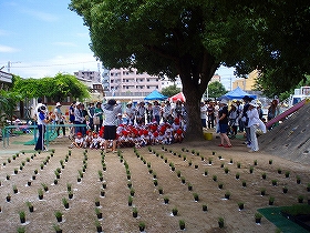 植栽風景3