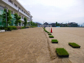 植栽風景1