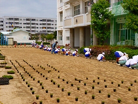 植栽風景3