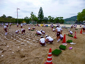 植栽風景3