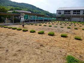 植栽風景1