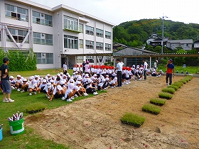 植栽風景2