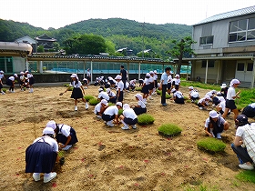 植栽風景3