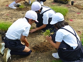 植栽風景4