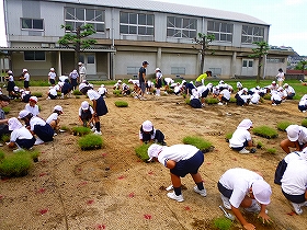 植栽風景6