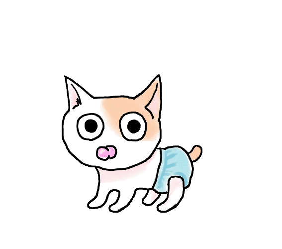 こねこ