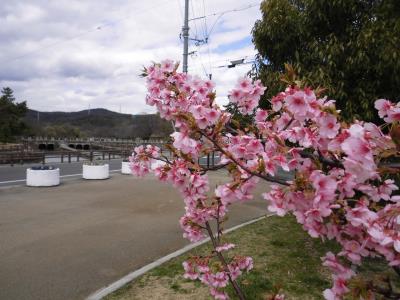 配水池の水門