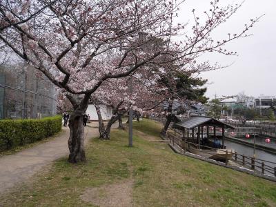 グラウンド横の屋形舟の休憩所