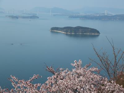 桜と瀬戸大橋