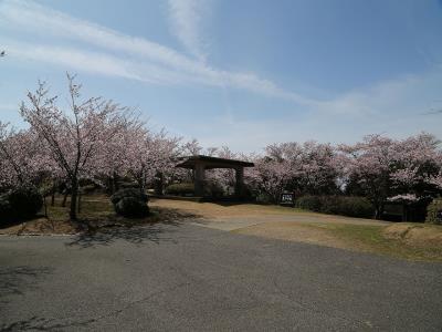 桜園地の休憩所