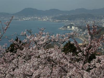 桜園地からの児島市街