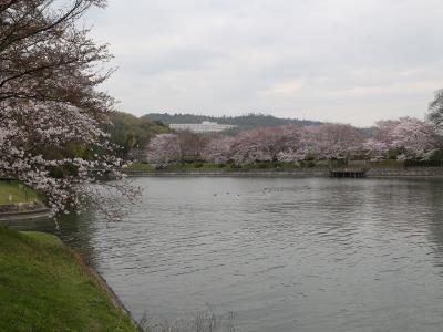 取水口付近からの眺め