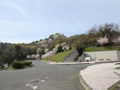 北側駐車場から本丸跡にかけて