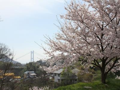 桜越しの下津井瀬戸大橋の主塔