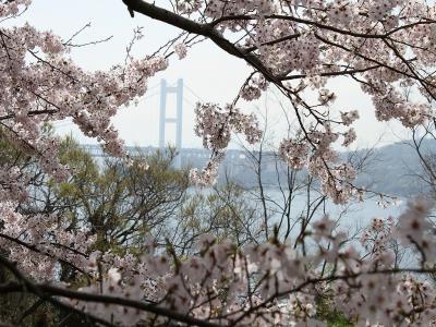 色々な場所から主塔と桜