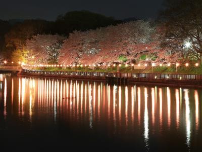 川面に映る照明