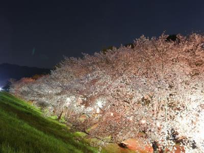 西側土手下の花と青い空